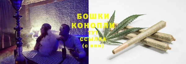 spice Арсеньев