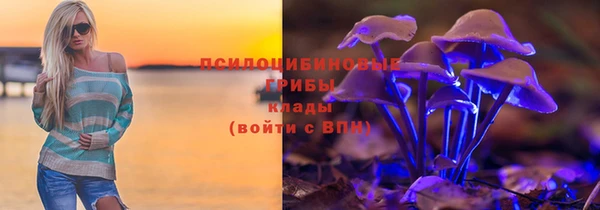 spice Арсеньев