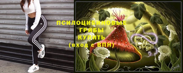 скорость Всеволожск