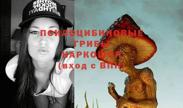 spice Арсеньев