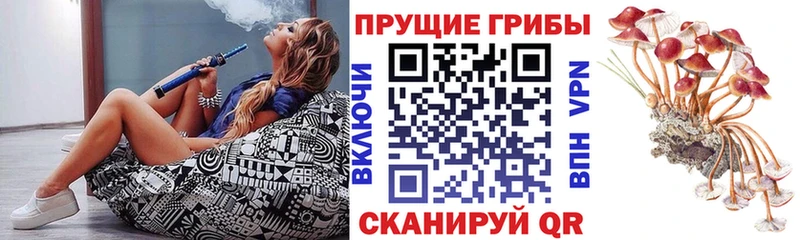 Галлюциногенные грибы Cubensis Джанкой